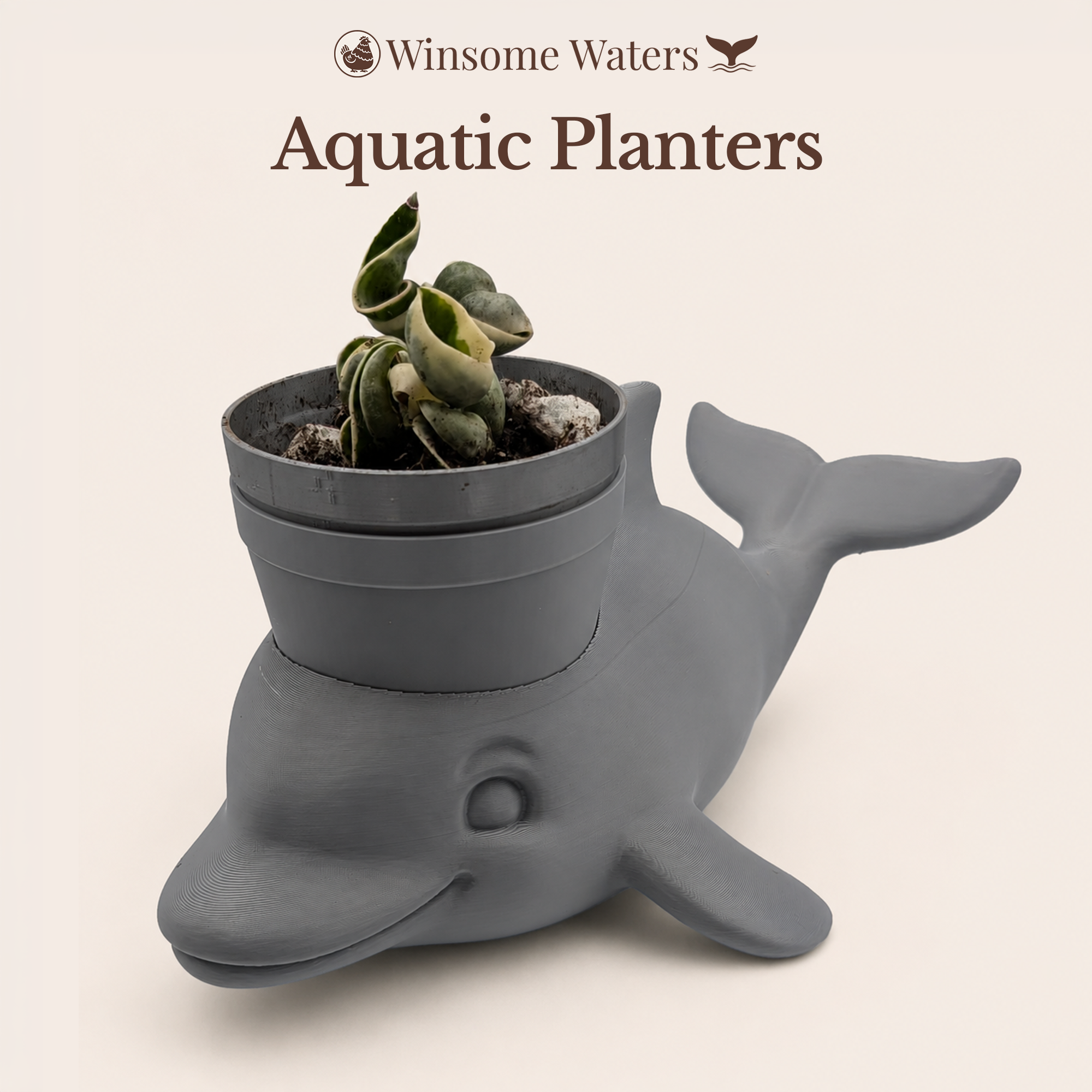 Winsome Waters Planters