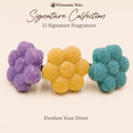 Signature Collection - Flower Vent Clip Air Freshener
