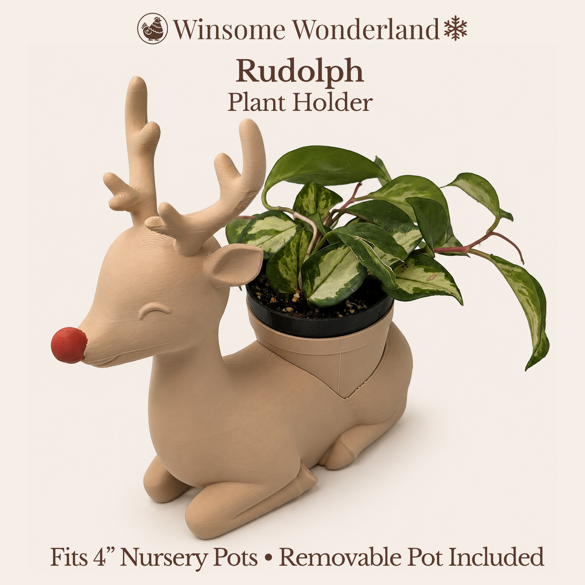 Rudolph - Winsome Wonderland