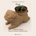 Pug Planter - Winsome Wags - Studio Sample