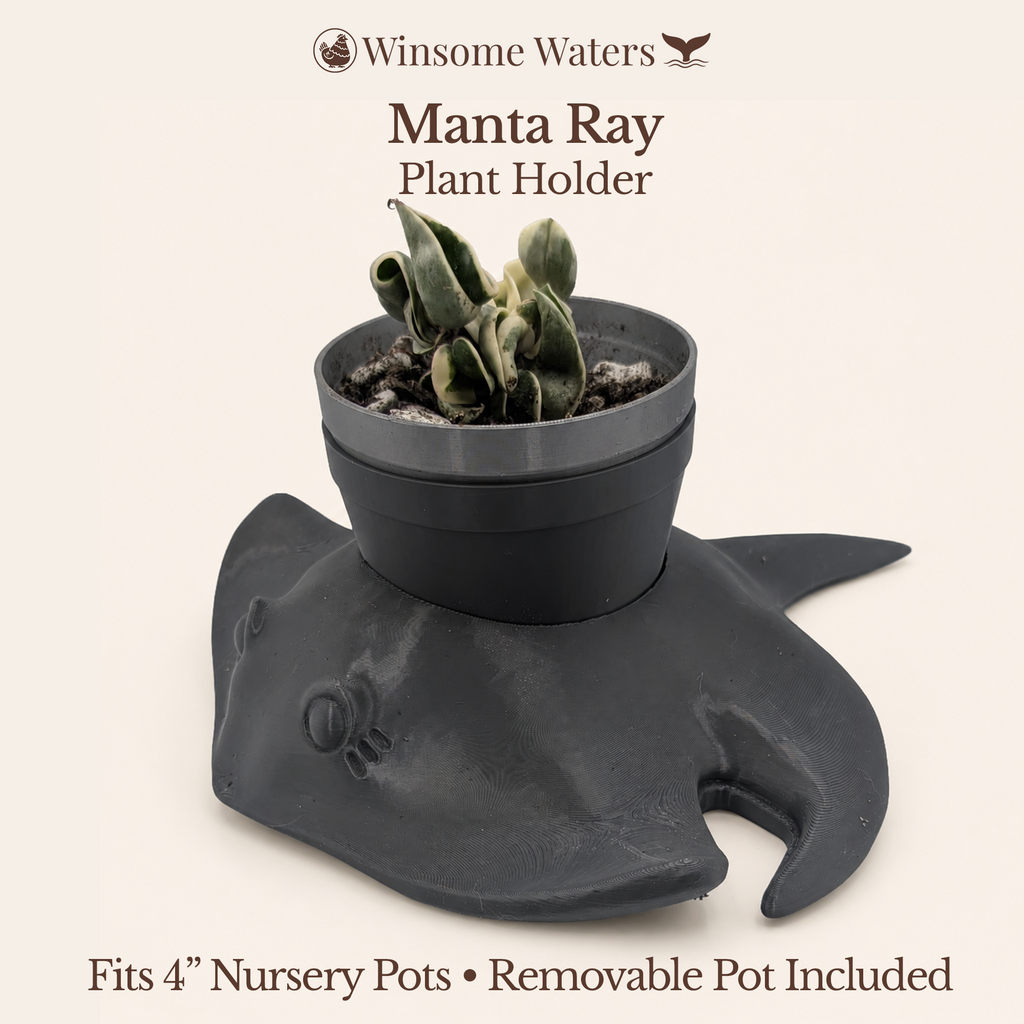 Manta Ray Planter - Winsome Waters Planter