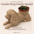 Cavalier King Charles Spaniel Planter - Winsome Wags - Studio Sample