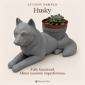 Husky - Winsome Wags - Studio Sample