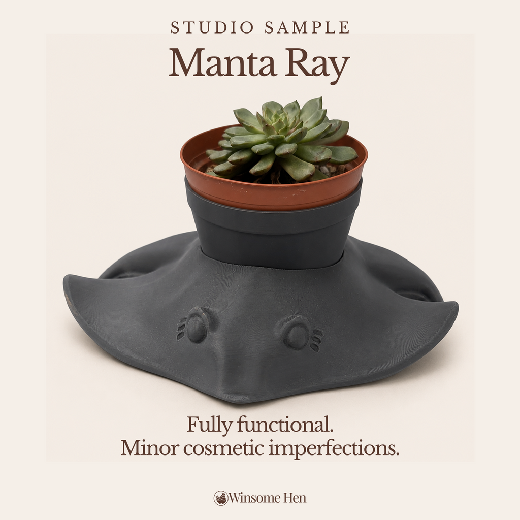 Grey Manta Ray Planter - Winsome Waters - Studio Sample (Current Sculpt)