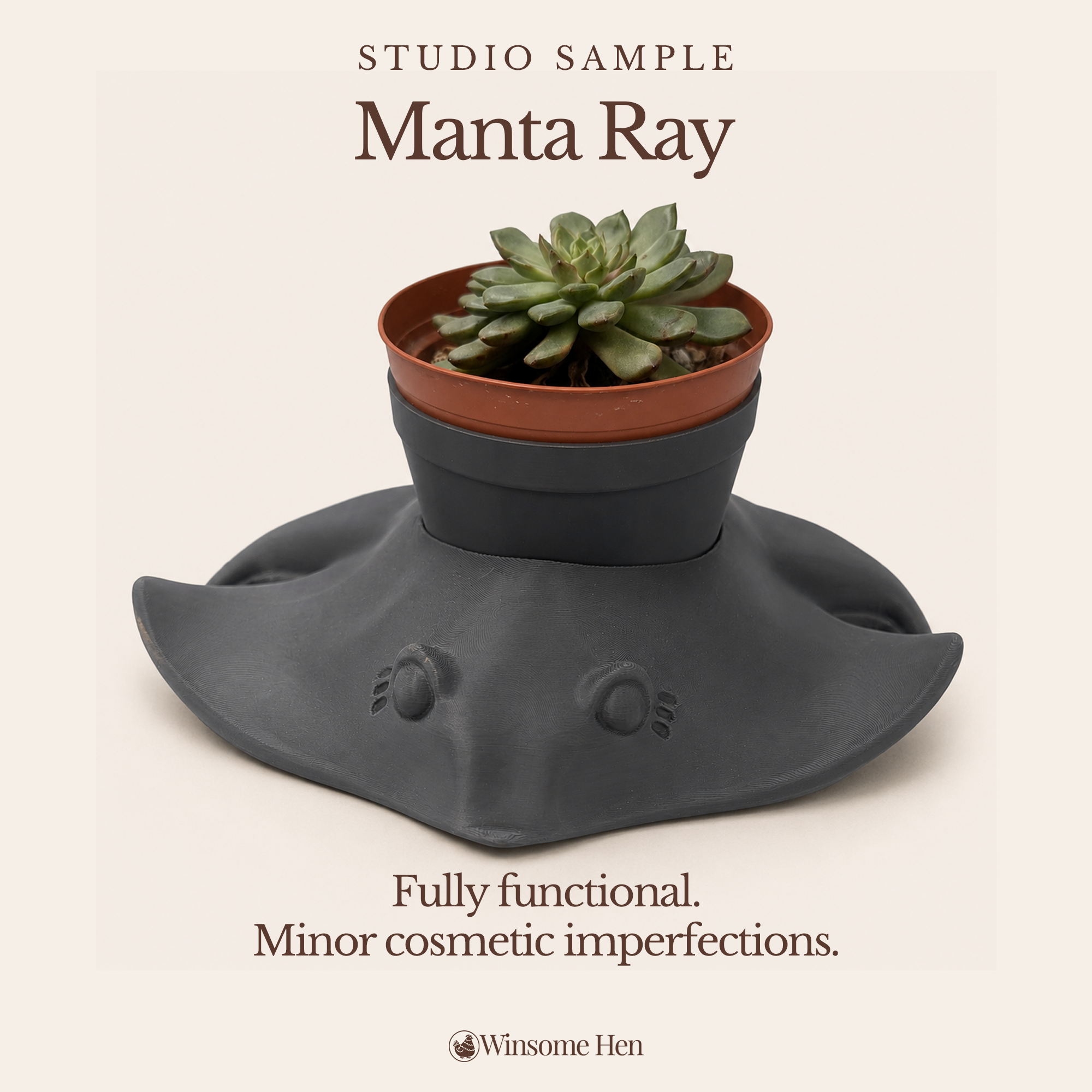 Grey Manta Ray Planter - Winsome Waters - Studio Sample (Current Sculpt)