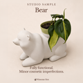 Bear Planter - Winsome Wildlife - Studio Sample