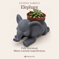 Elephant Planter - Winsome Wildlife - Studio Sample