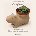 Capybara Planter - Winsome Wildlife - Studio Sample