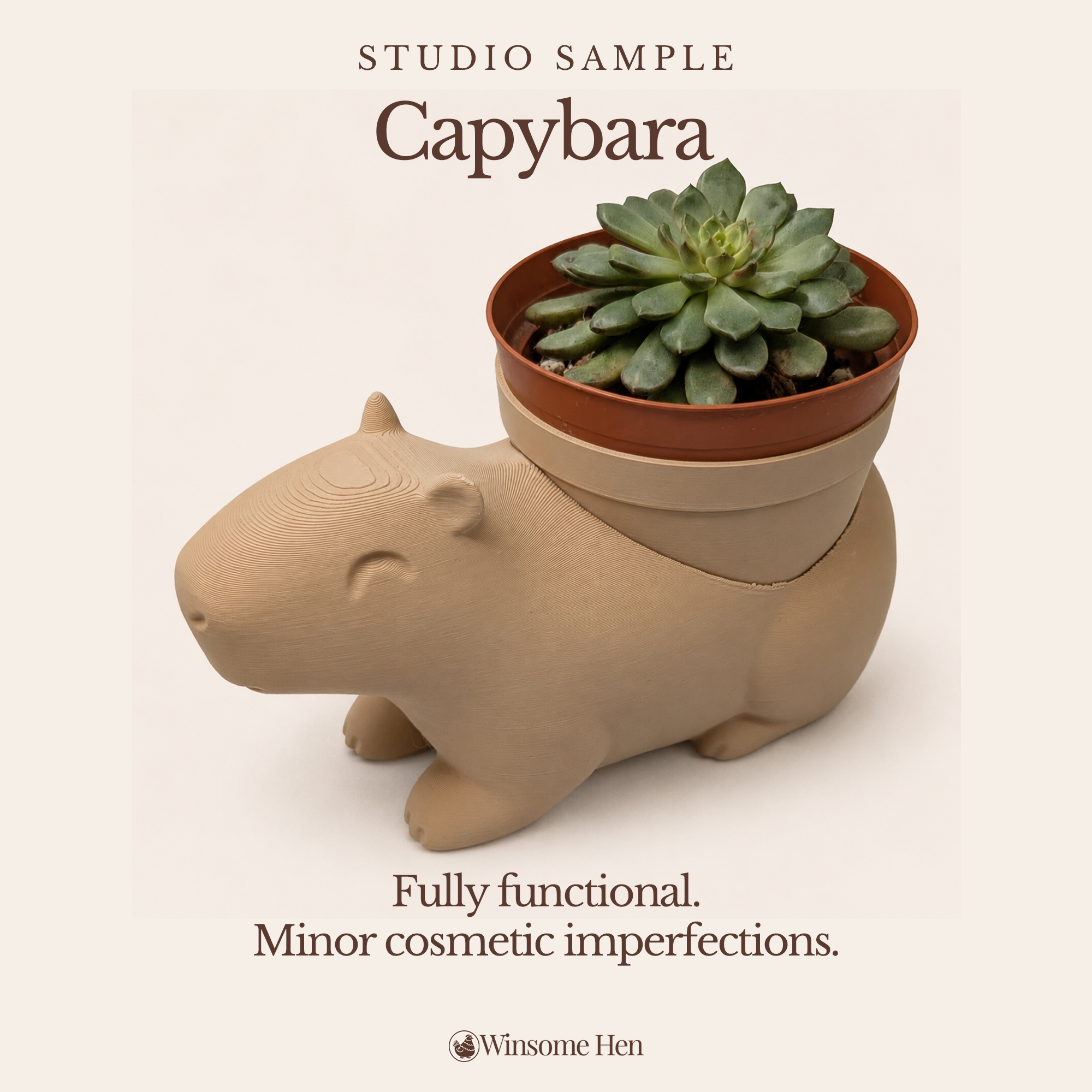 Capybara Planter - Winsome Wildlife - Studio Sample