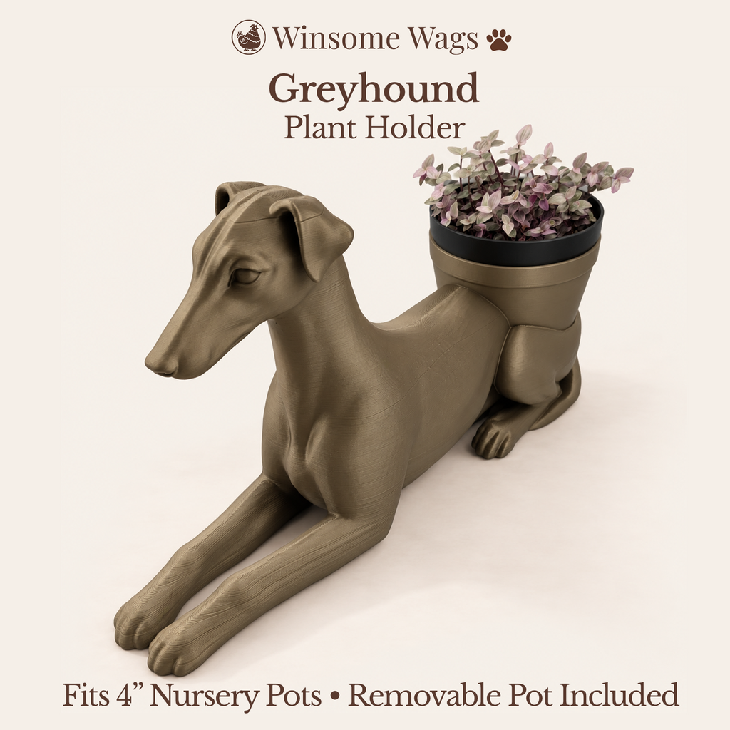 Greyhound - Winsome Wags