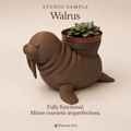 Walrus Planter - Winsome Waters - Studio Sample