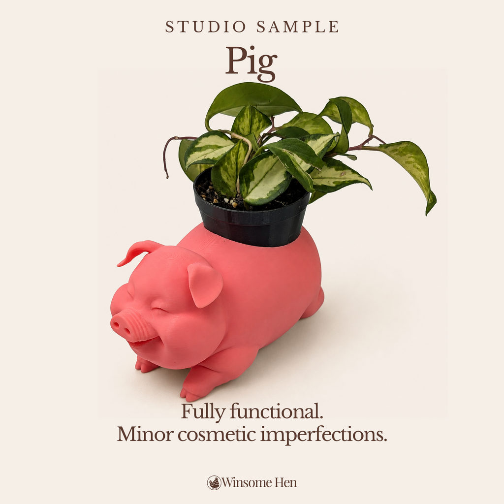 Pig Planter - Winsome Farm - Studio Sample