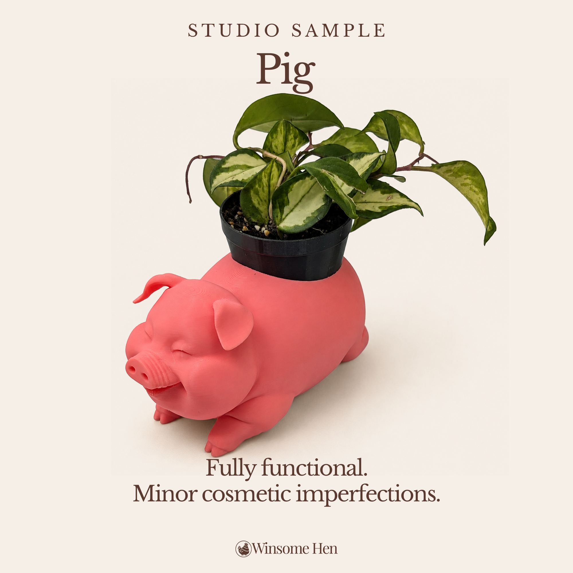 Pig Planter - Winsome Farm - Studio Sample