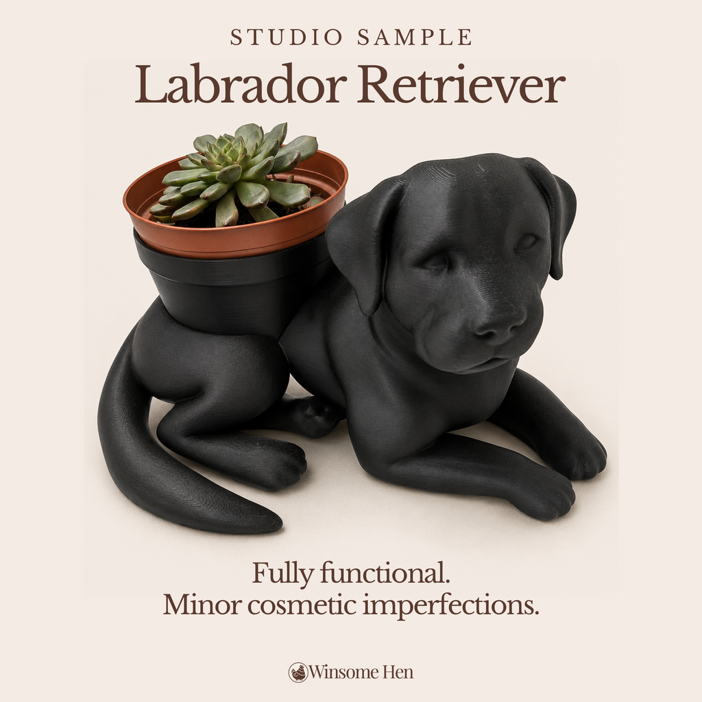 Black Labrador Retriever - Winsome Wags - Studio Sample