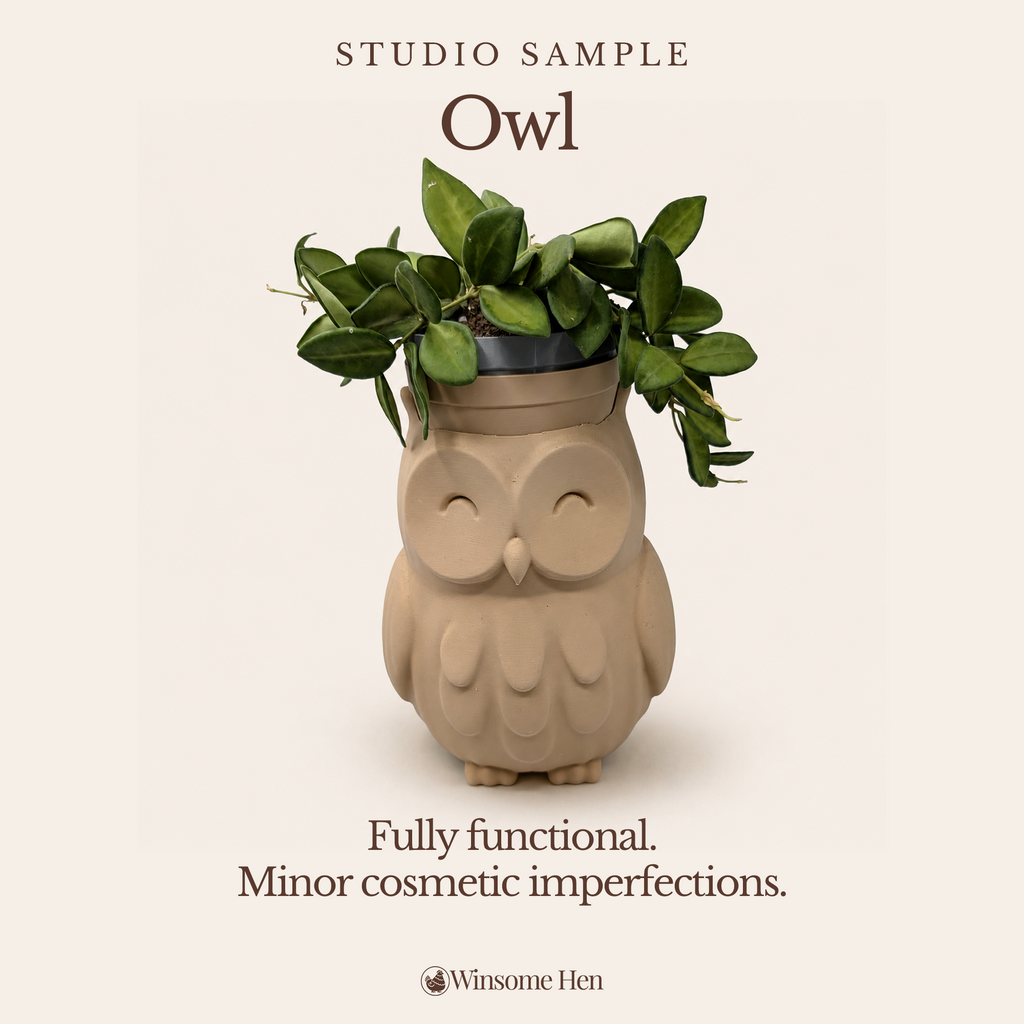 Owl Planter - Winsome Wildlife - Studio Sample