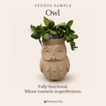 Owl Planter - Winsome Wildlife - Studio Sample