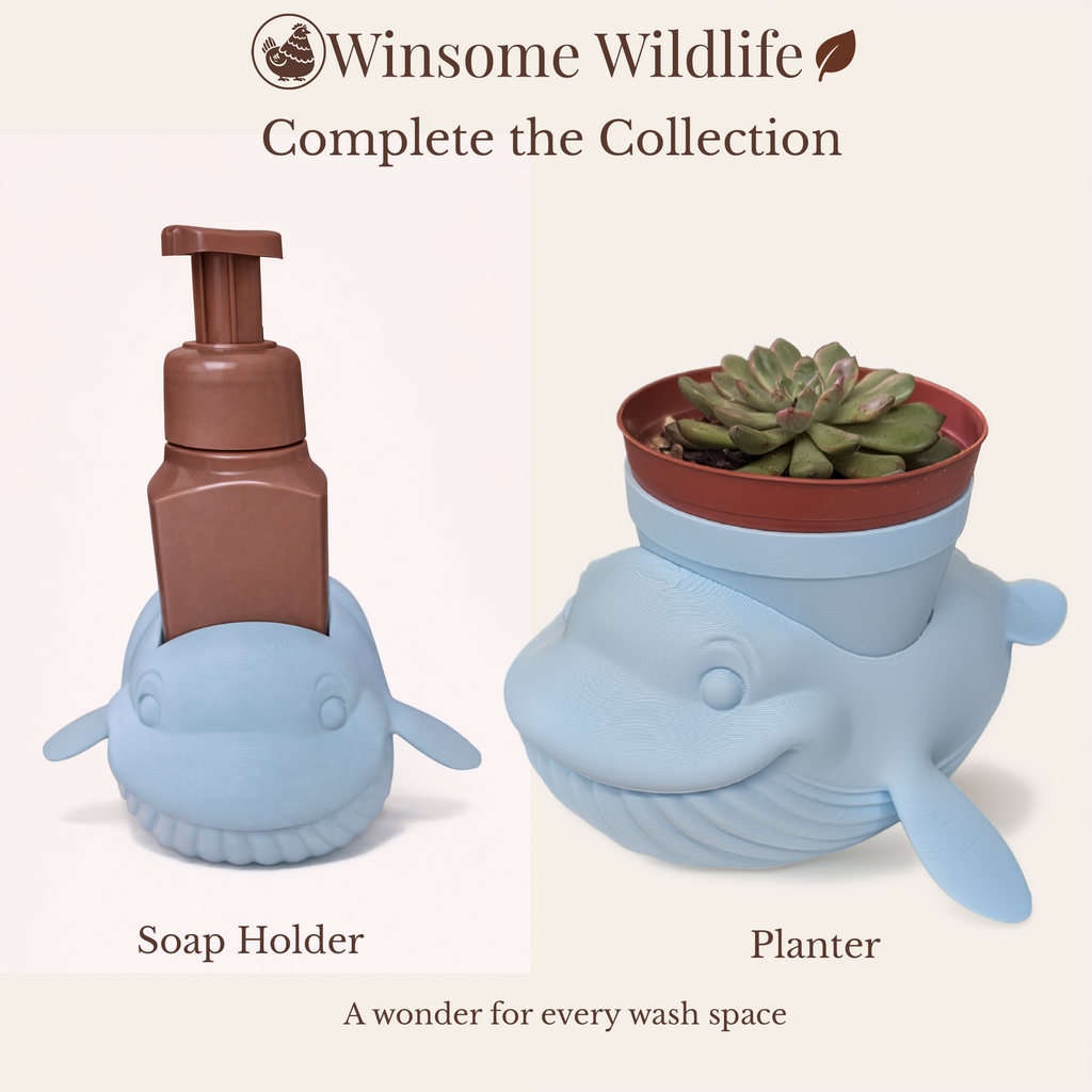 Whale Planter - Winsome Wildlife