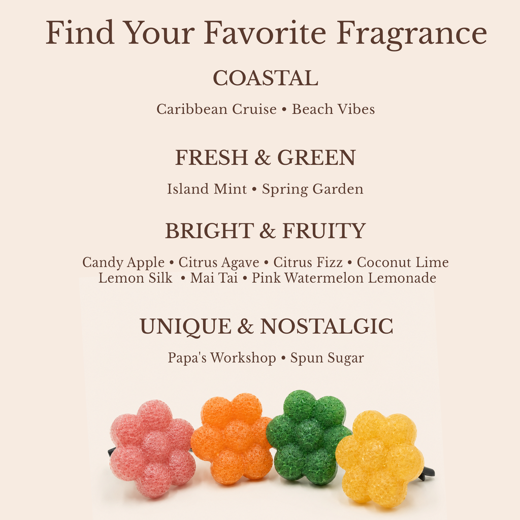 Small Batch Vent Clip Air Fresheners - Limited Fragrance Collection