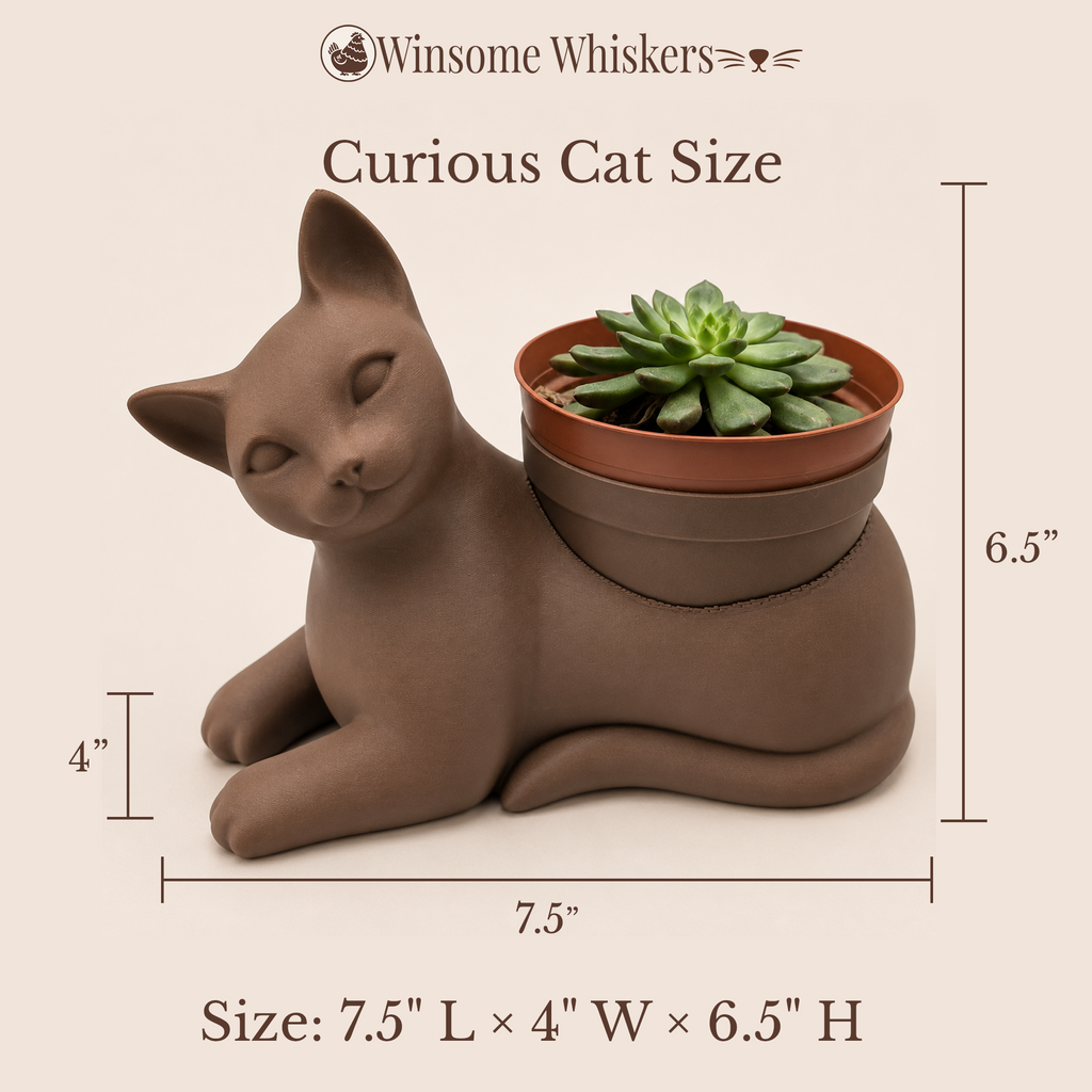 Curious Cat Planter - Winsome Whiskers