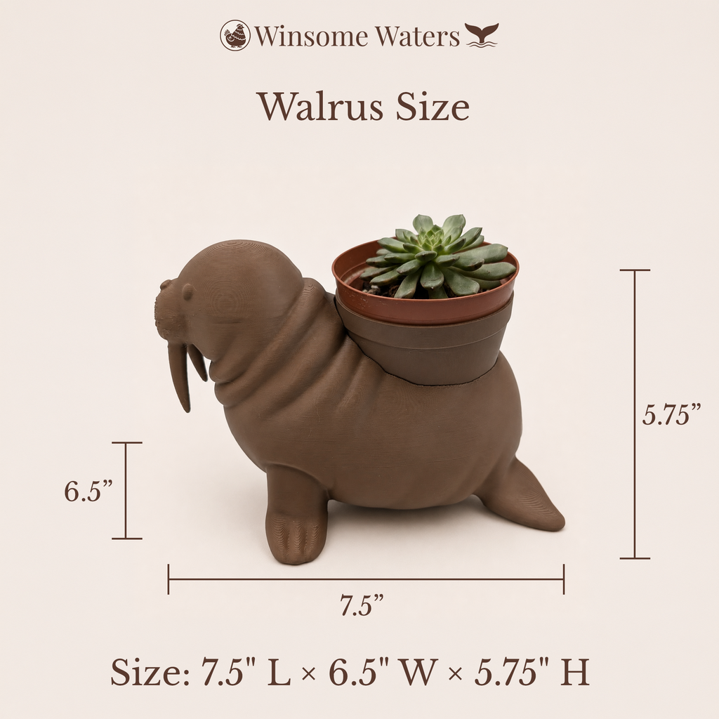 Walrus Planter - Winsome Waters Planters