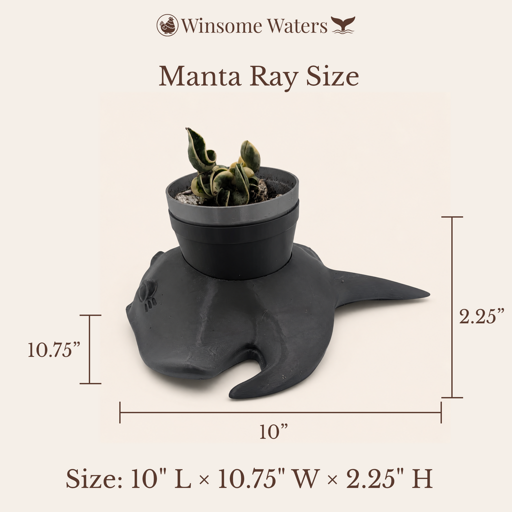 Manta Ray Planter - Winsome Waters Planter
