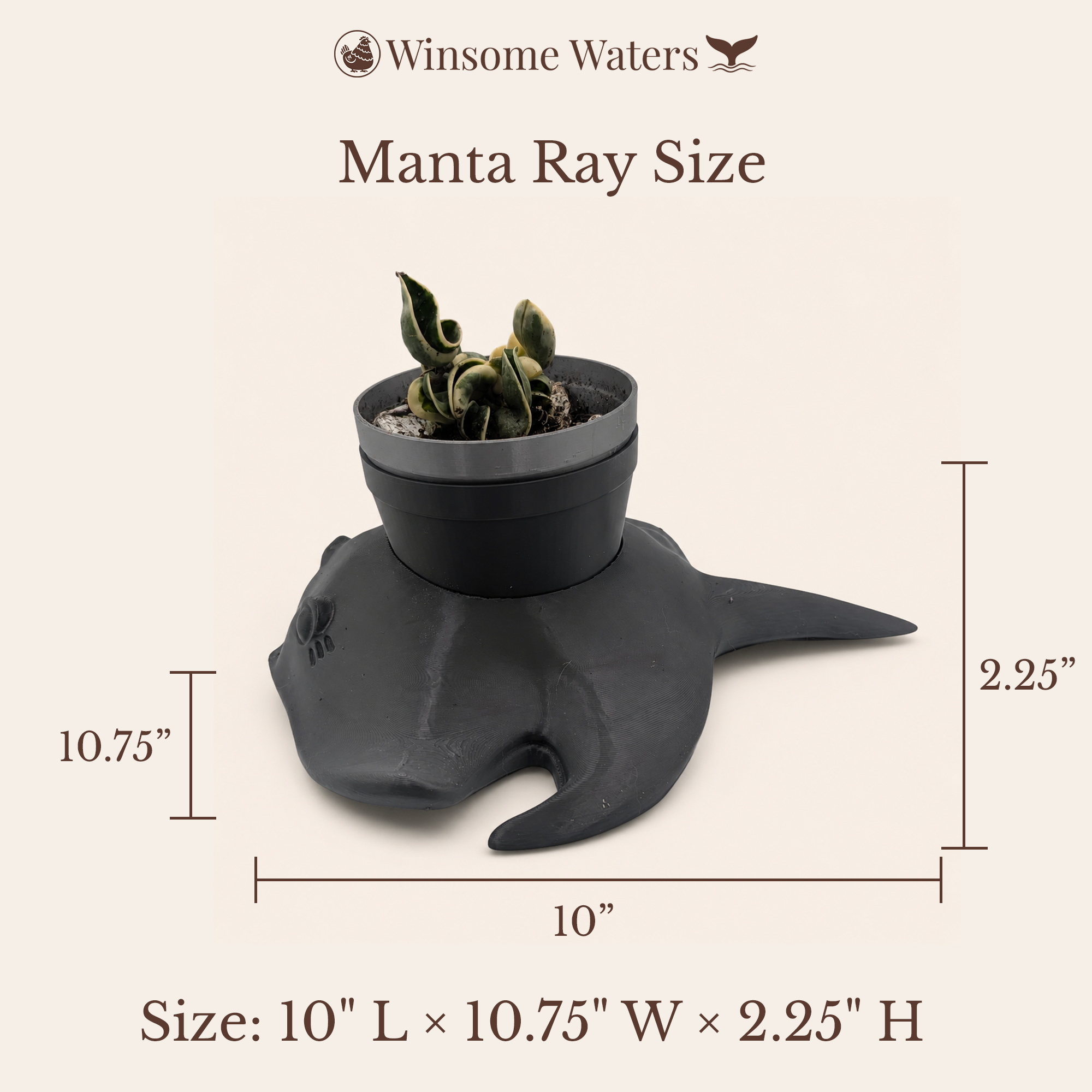 Manta Ray Planter - Winsome Waters Planter