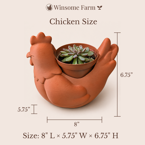 Chicken Planter - Winsome Farm