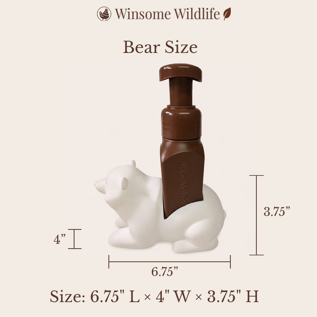 Bear Soap Holder - Bath & Body Works Holder - Winsome Wildlife