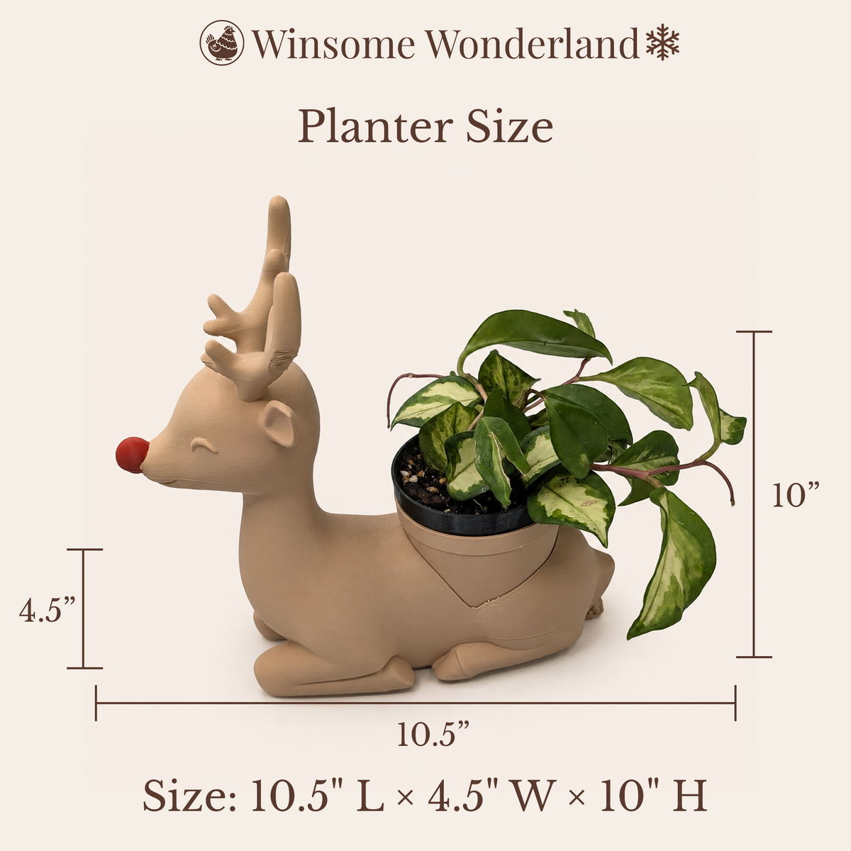 Rudolph - Winsome Wonderland