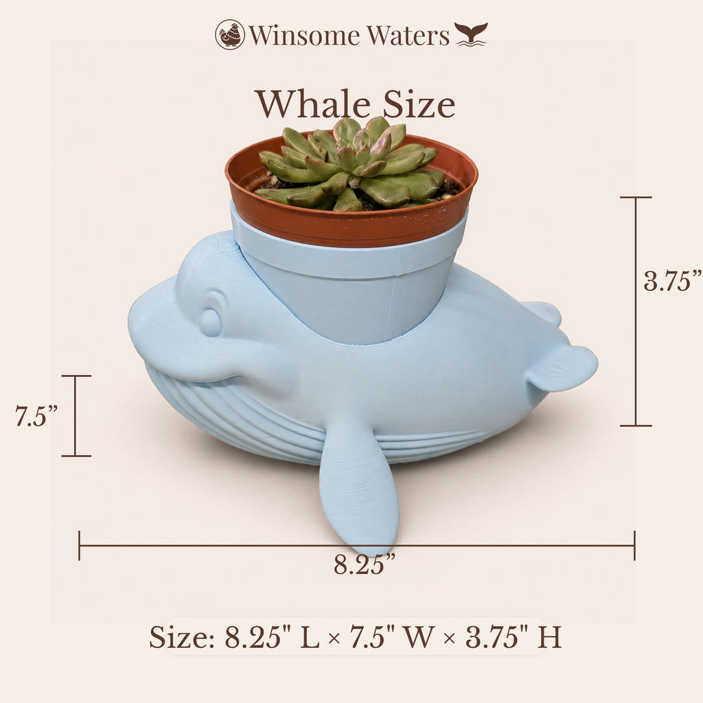 Whale Planter - Winsome Wildlife