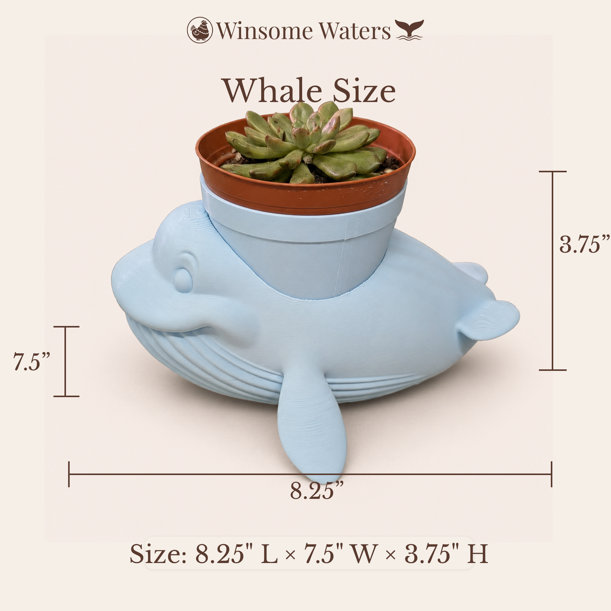 Whale Planter - Winsome Wildlife