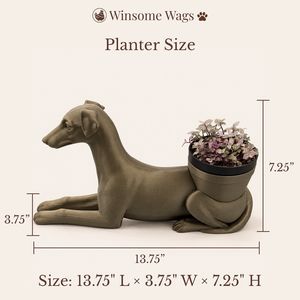 Greyhound - Winsome Wags