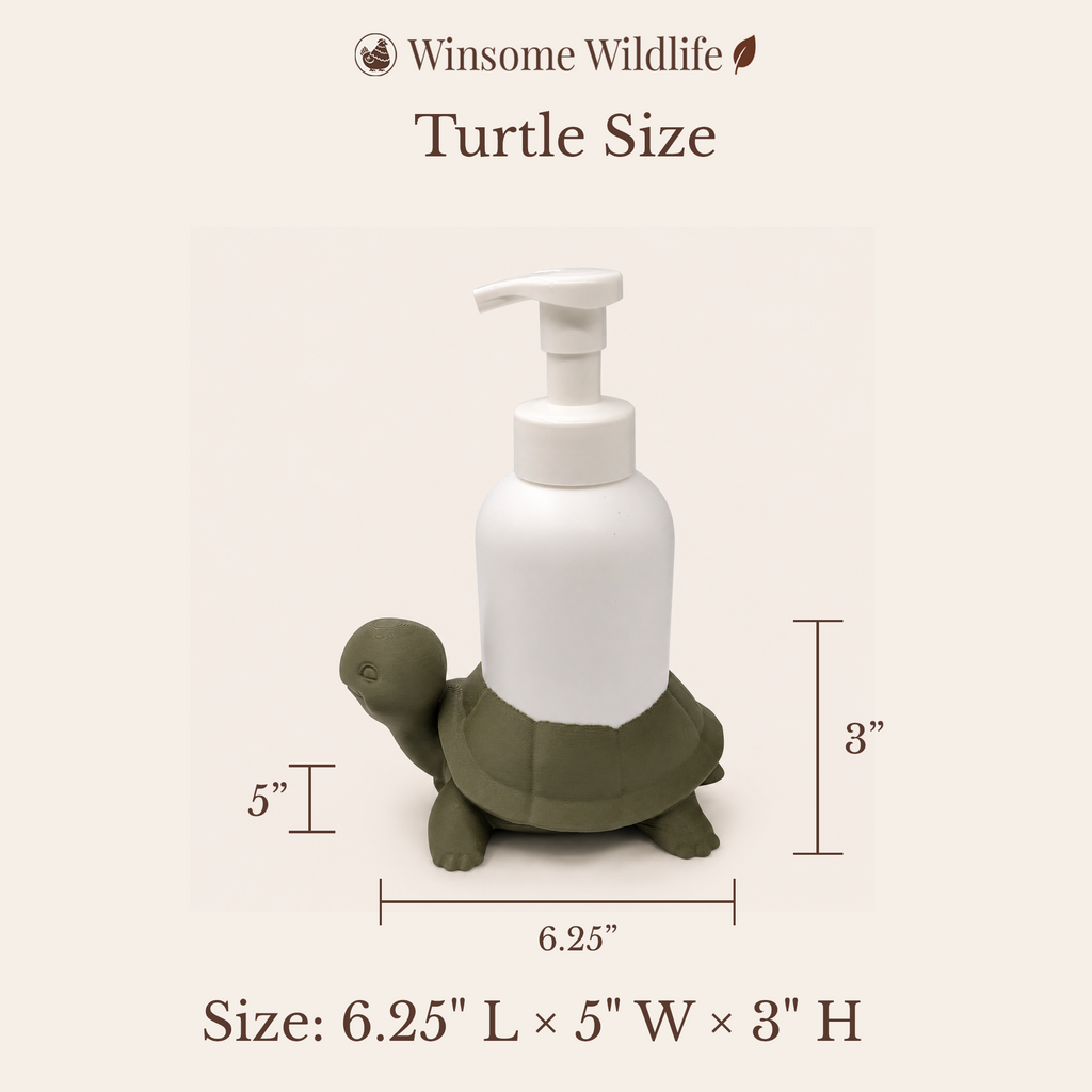Turtle Universal Soap Holder - Winsome Wildlife