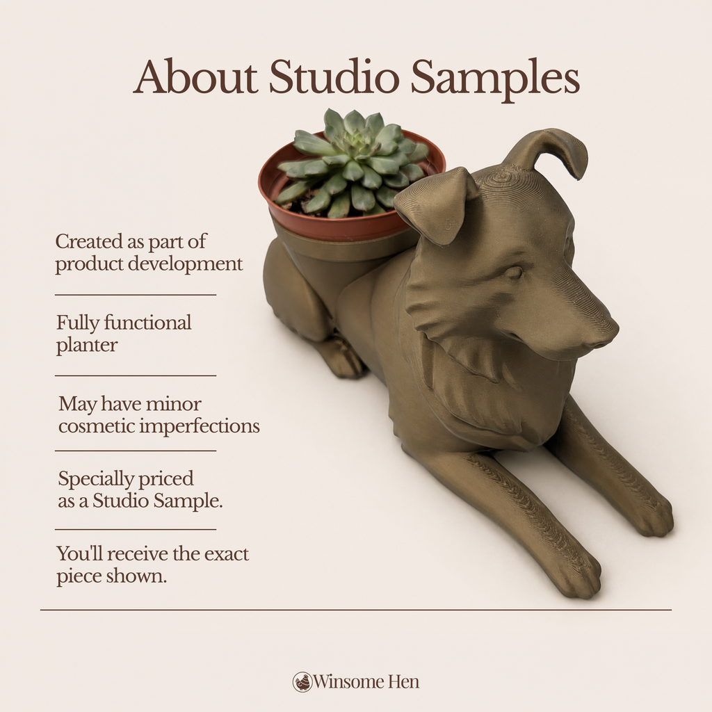 Australian Shepherd Planter - Winsome Wags - Studio Sample