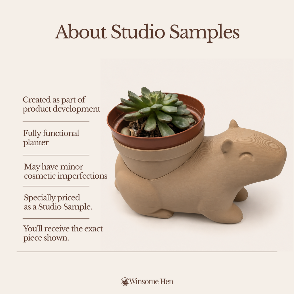 Capybara Planter - Winsome Wildlife - Studio Sample