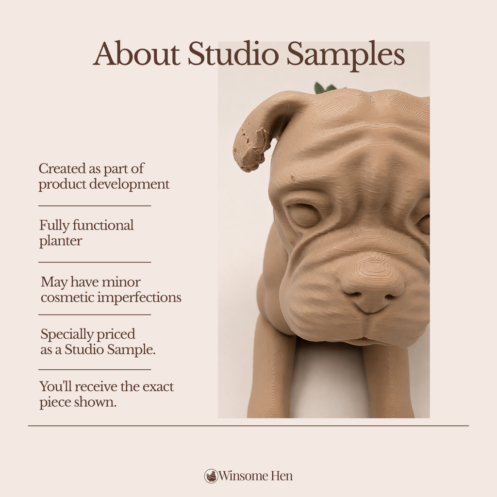 Boxer Planter - Winsome Wags - Studio Sample