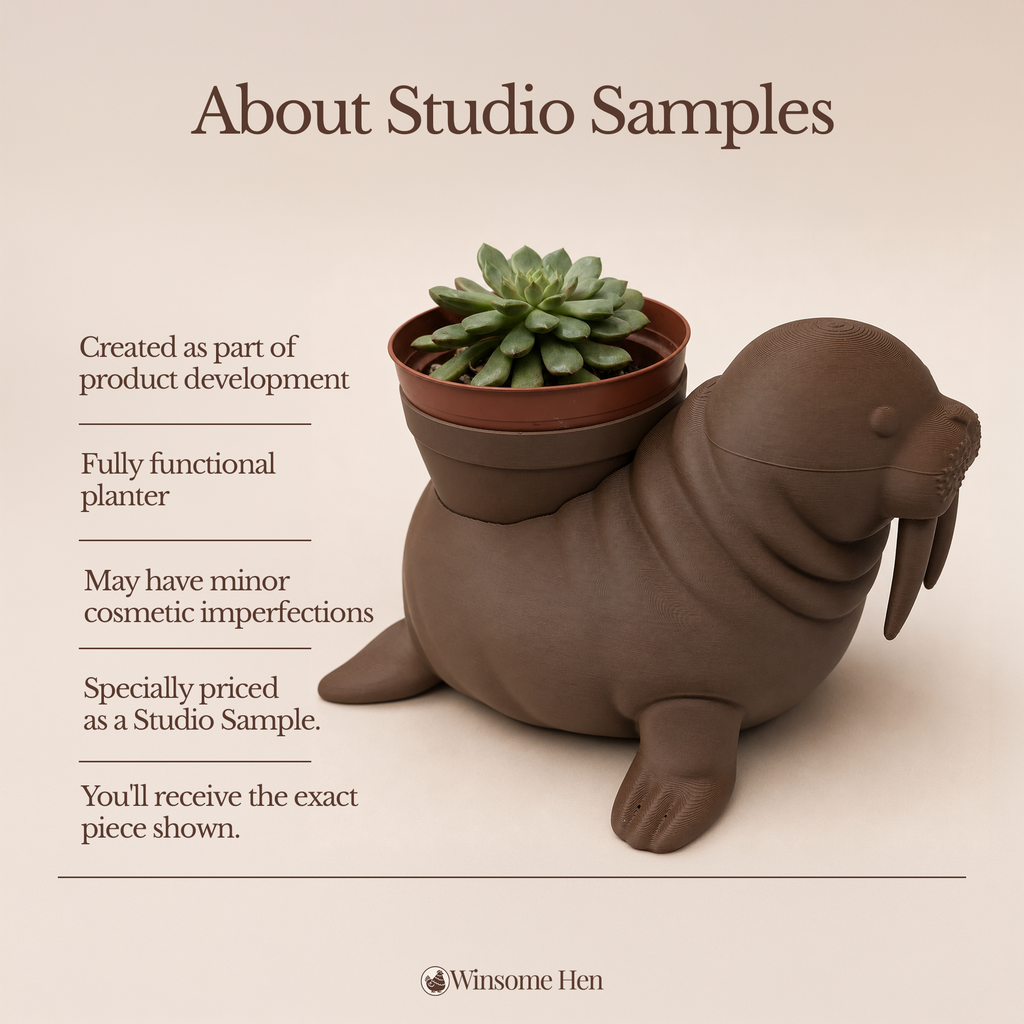 Walrus Planter - Winsome Waters - Studio Sample
