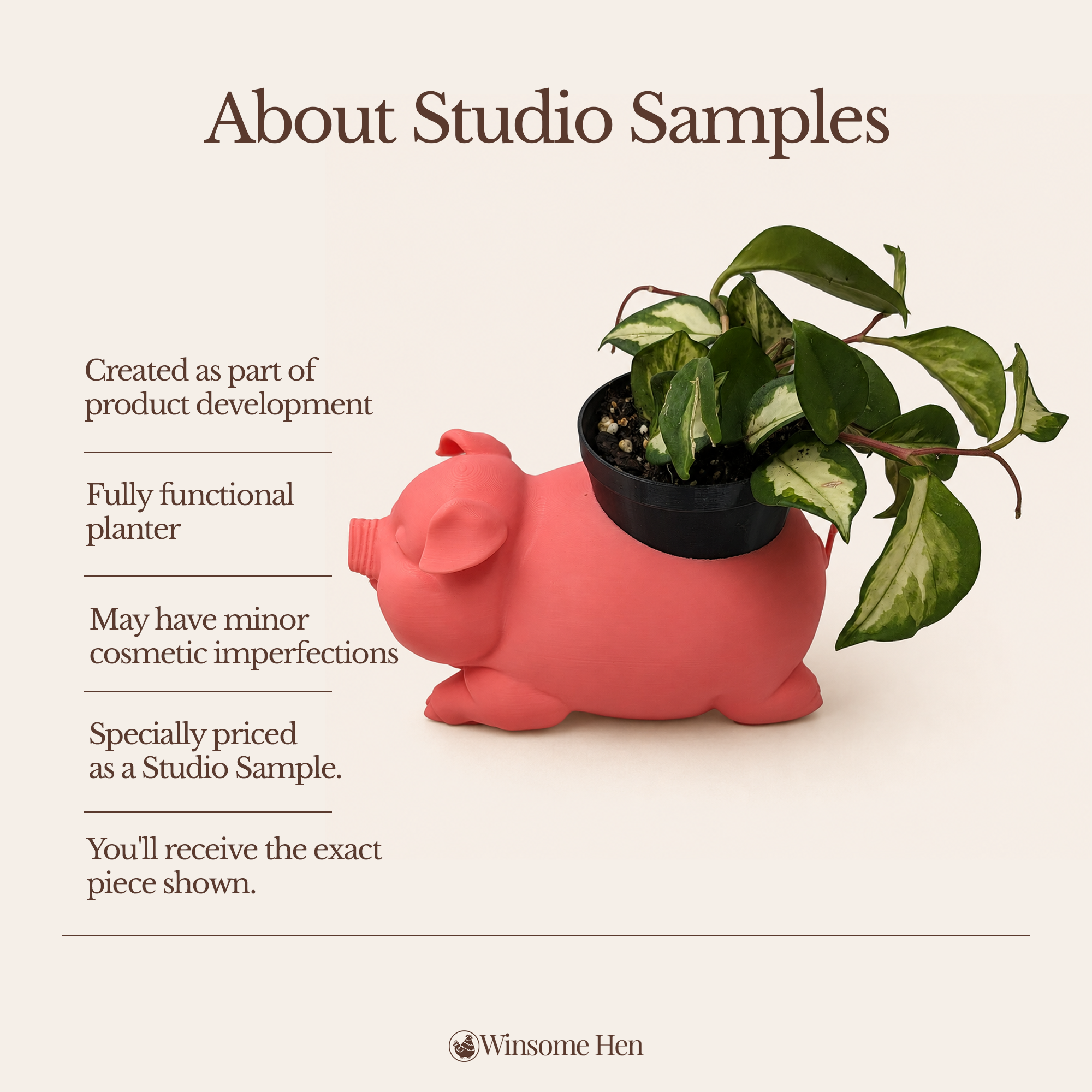 Pig Planter - Winsome Farm - Studio Sample
