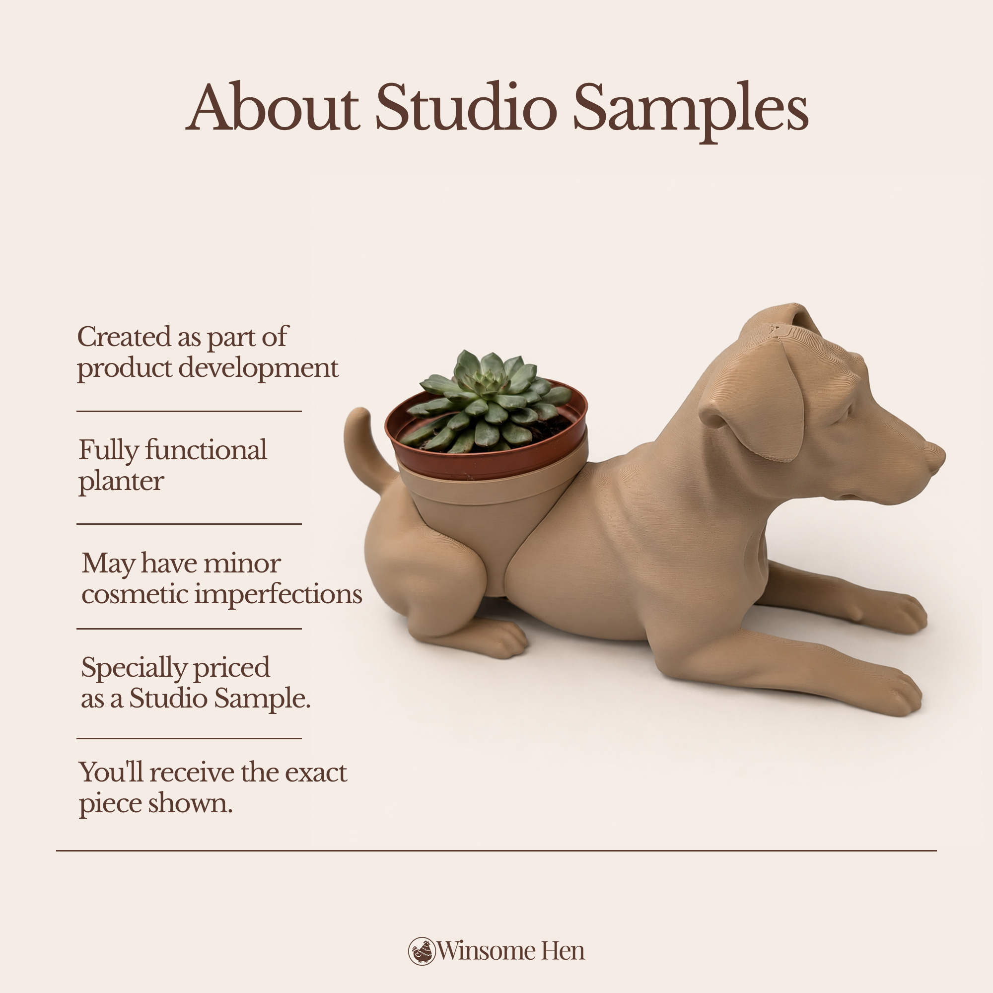 Jack Russell Terrier - Winsome Wags - Studio Sample
