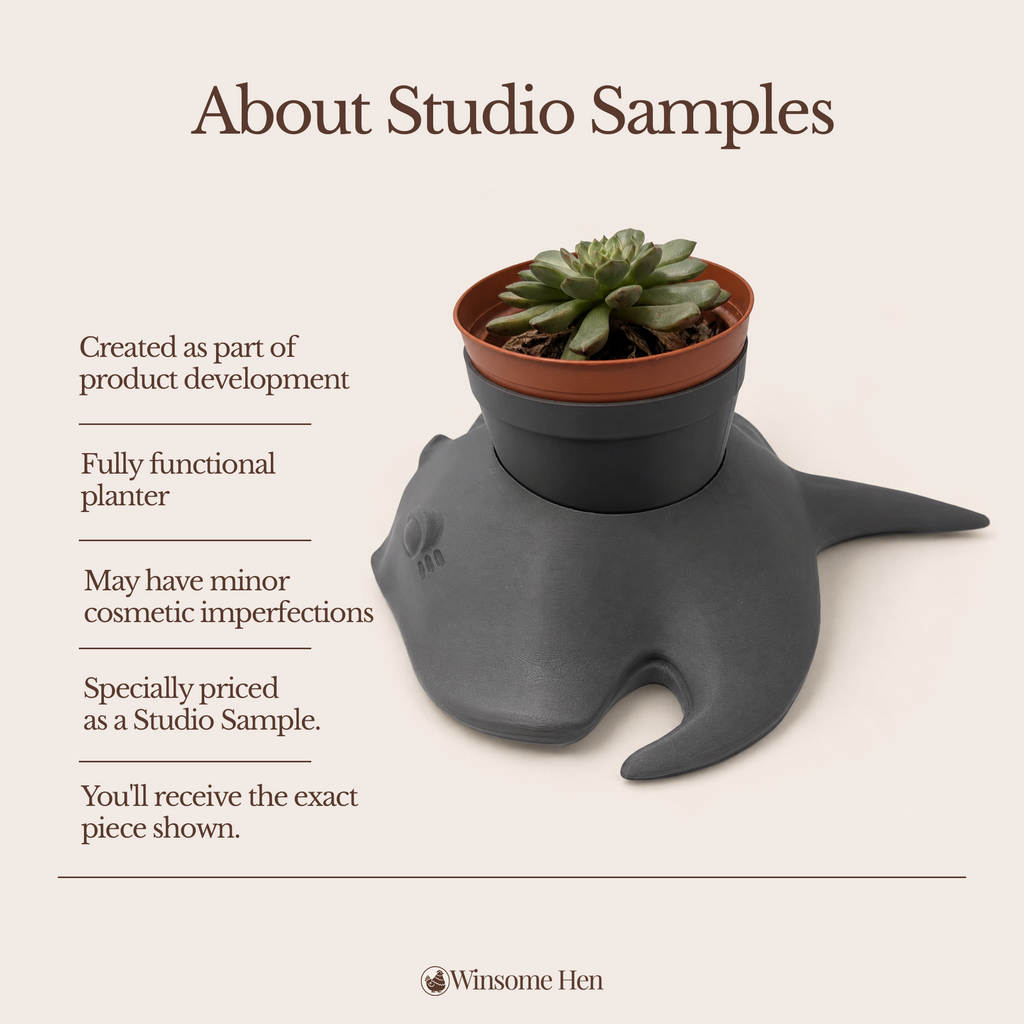 Grey Manta Ray Planter - Winsome Waters - Studio Sample (Current Sculpt)