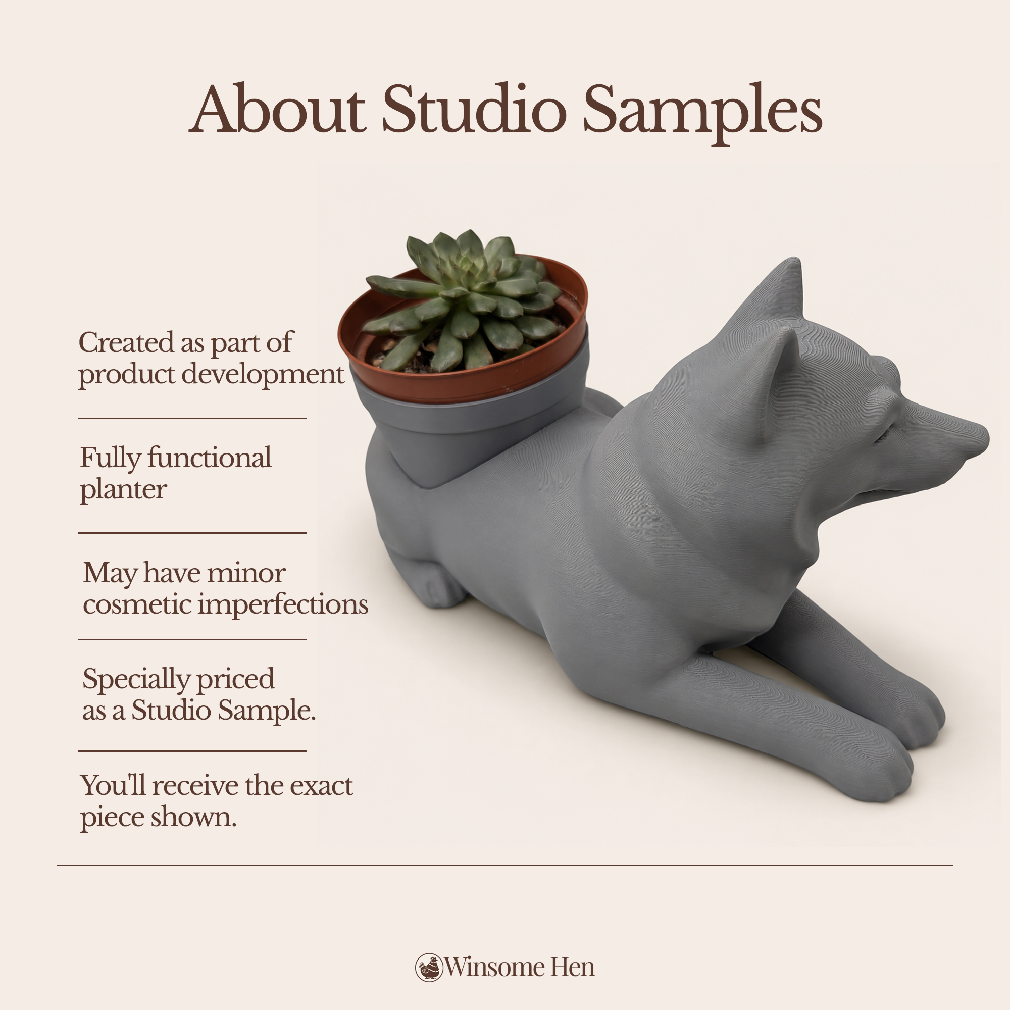 Husky - Winsome Wags - Studio Sample