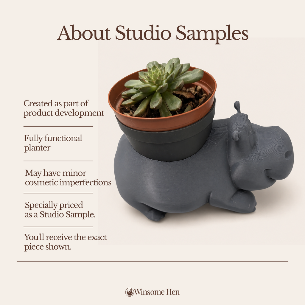 Hippo Planter - Winsome Wildlife - Studio Sample