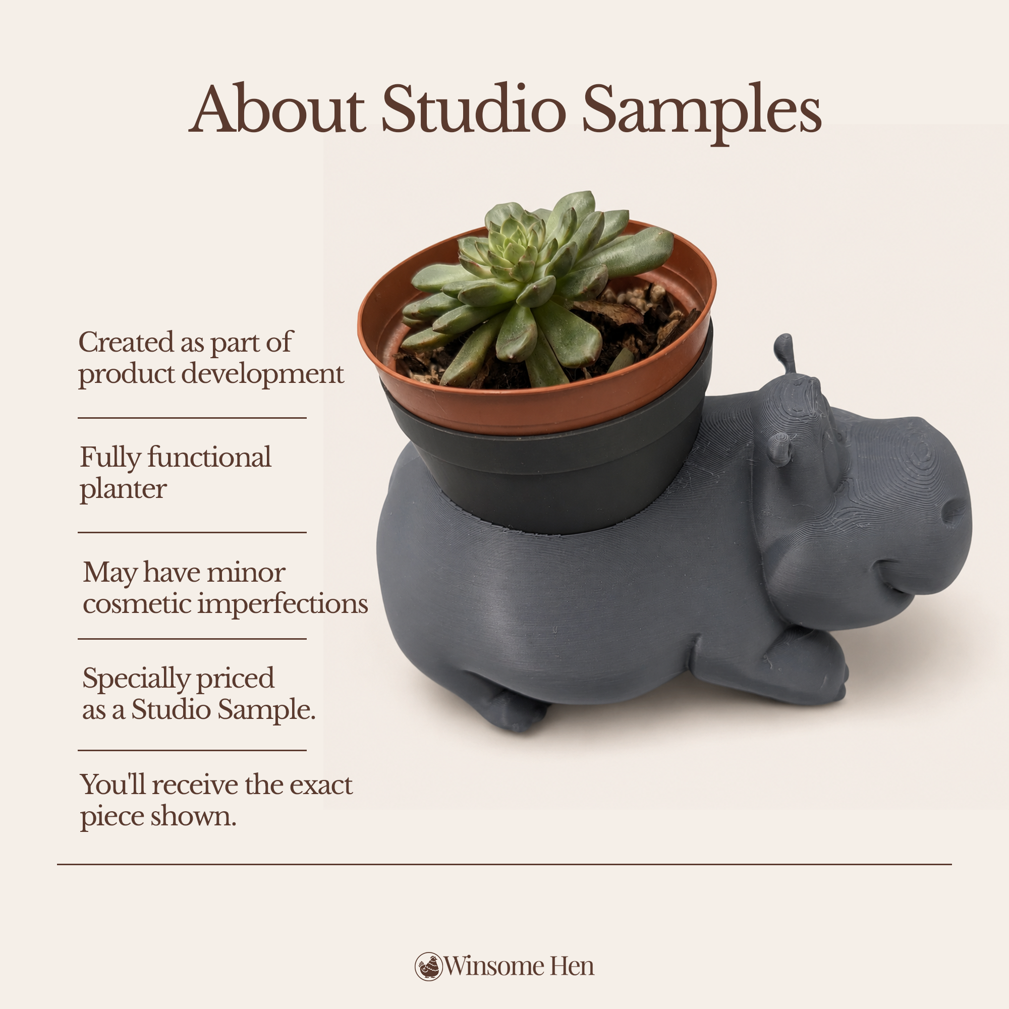 Hippo Planter - Winsome Wildlife - Studio Sample