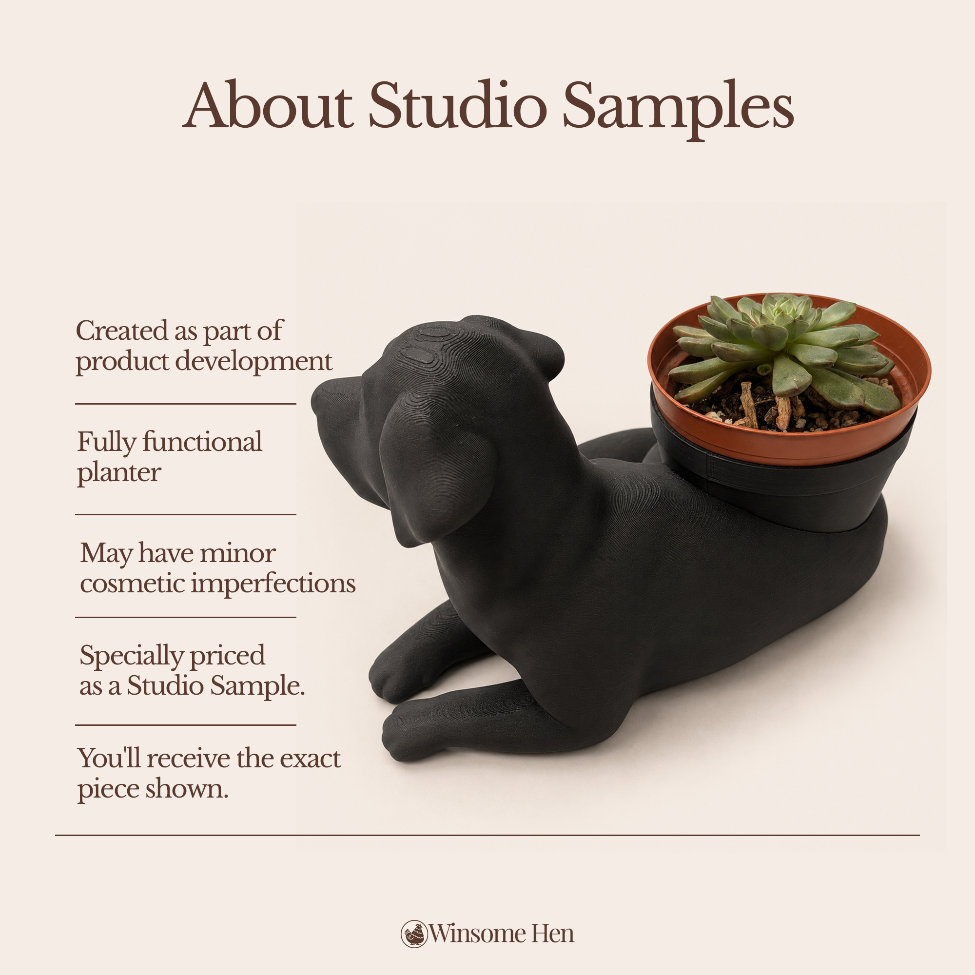 Black Labrador Retriever - Winsome Wags - Studio Sample