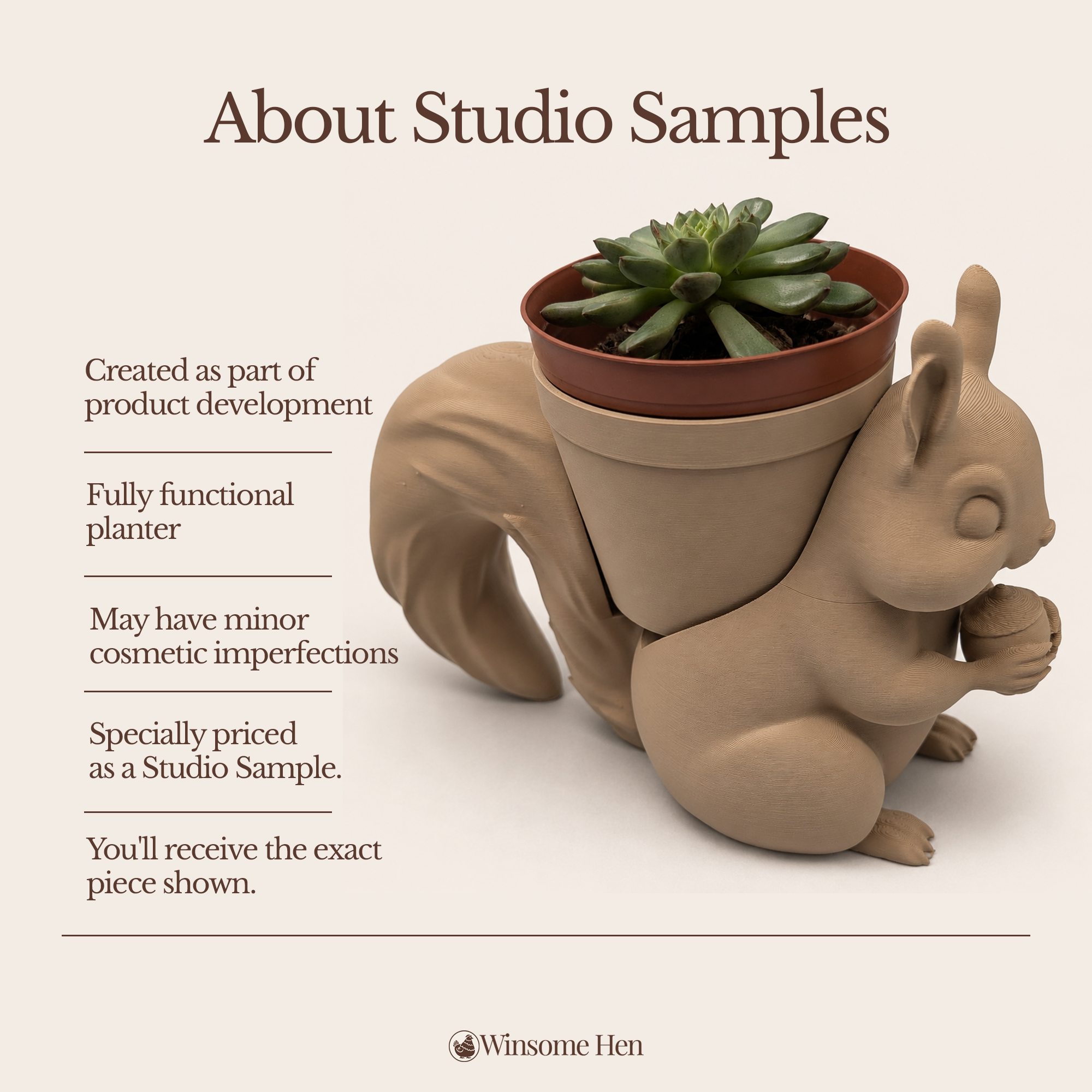 Squirrel Planter - Winsome Wildlife - Studio Sample