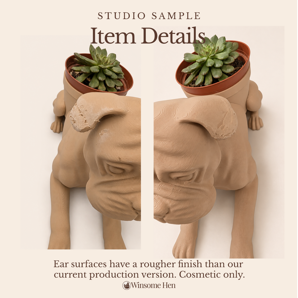 Boxer Planter - Winsome Wags - Studio Sample