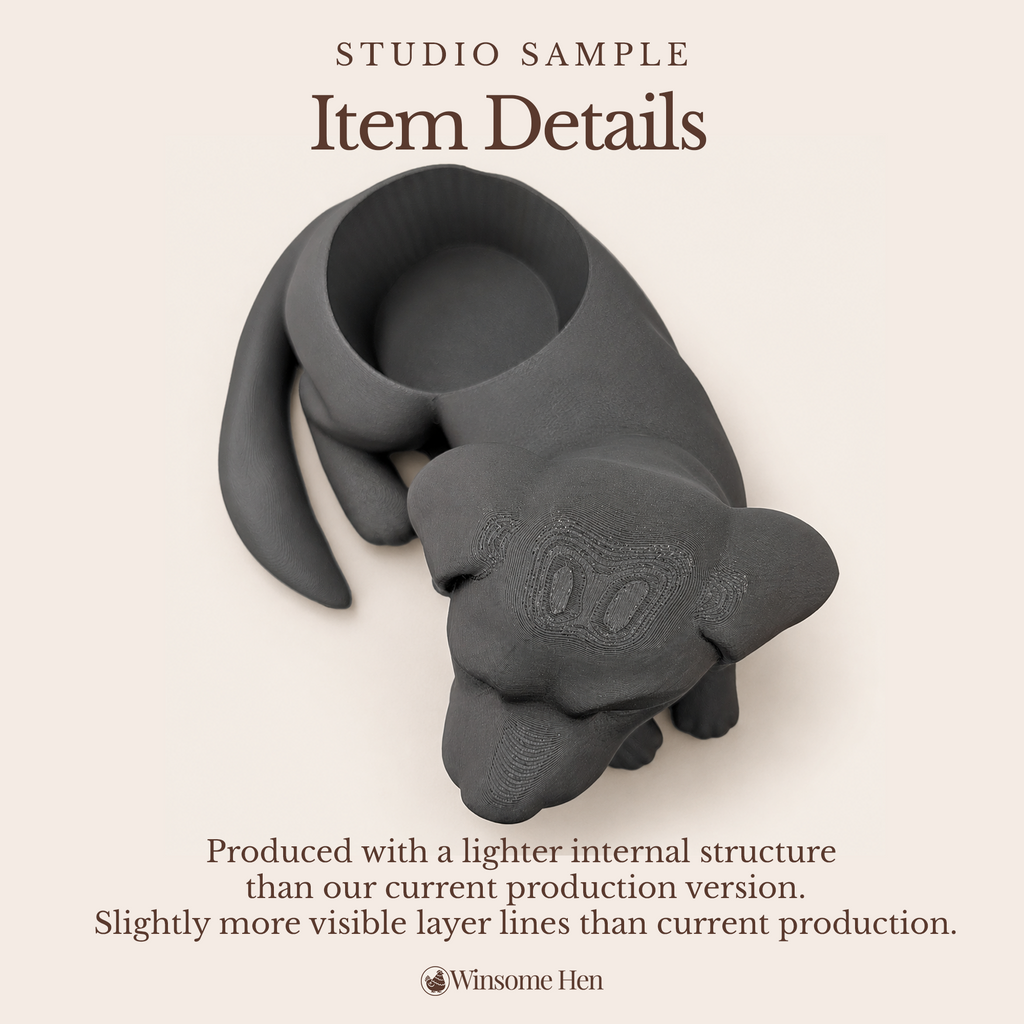 Black Labrador Retriever - Winsome Wags - Studio Sample
