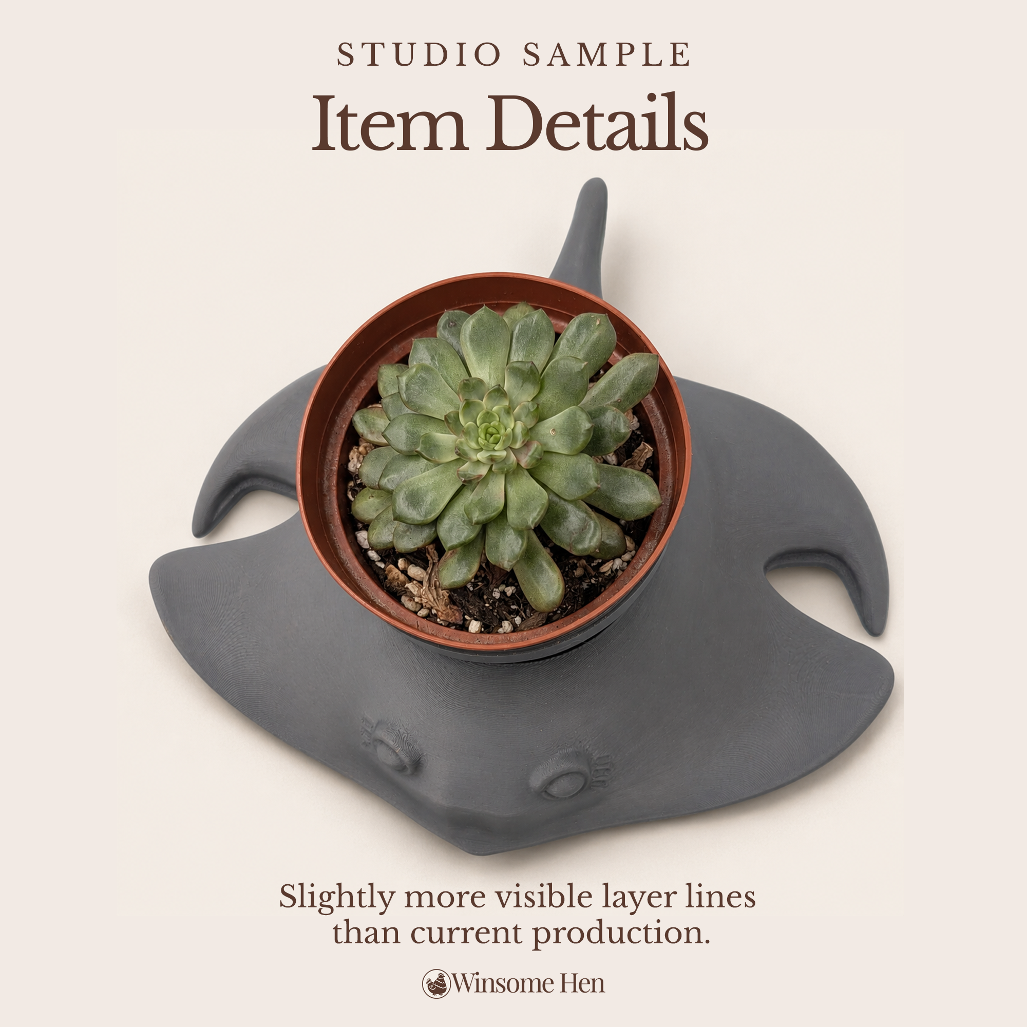 Grey Manta Ray Planter - Winsome Waters - Studio Sample (Current Sculpt)