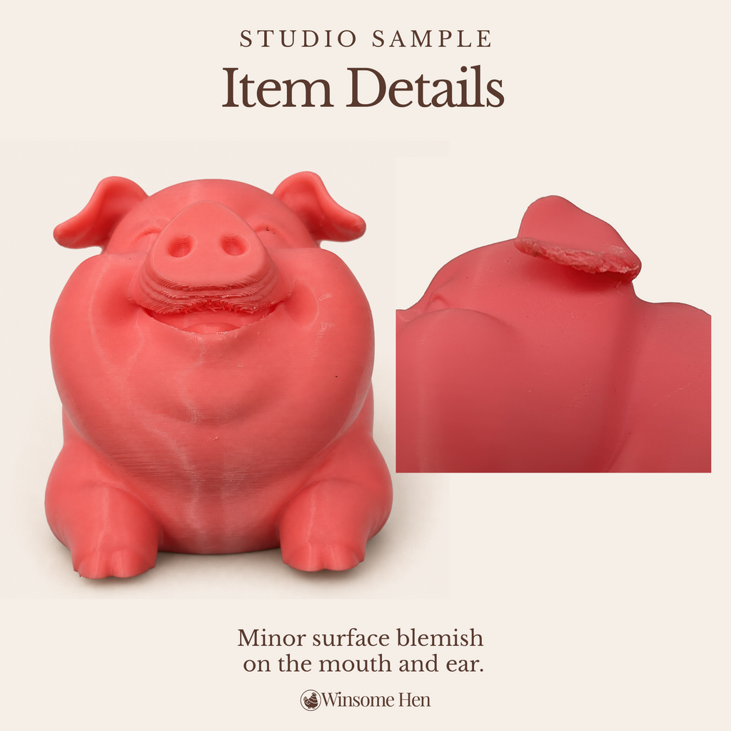 Pig Soap Holder - Winsome Farm - Studio Sample