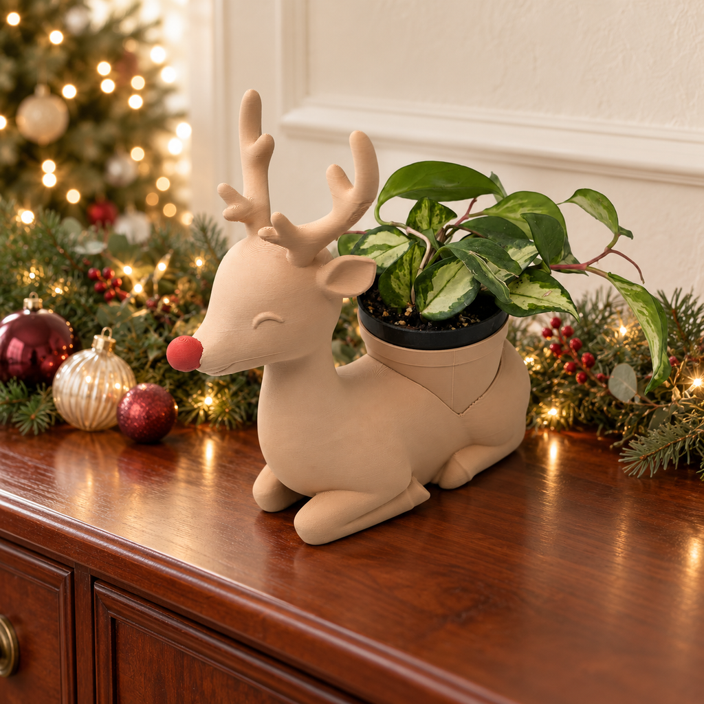 Rudolph - Winsome Wonderland